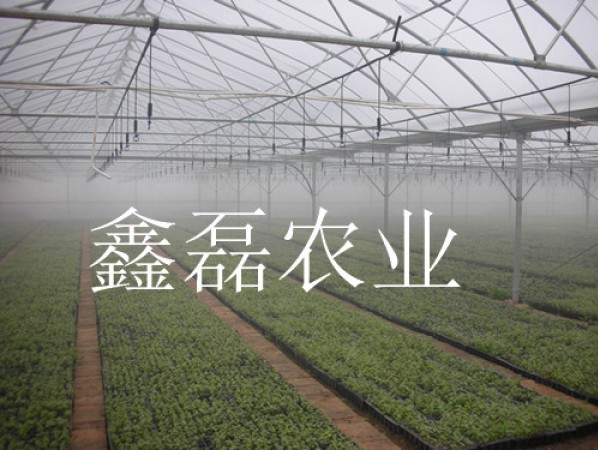 溫室噴灌系統(tǒng)