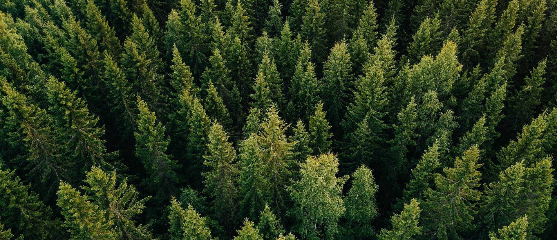 可持續(xù)發(fā)展